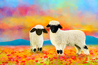 Valais Blacknose Sheep