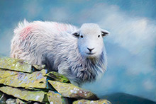 Herdy Sketches, Herdwick Sheep Art Studio, Herdwick Sheep Oil Pastels, Herdwick Drawings, Herdy Wall Art, Herdy Sketch, Mixed-Media Herdy Art, Herdy, Herdwick Sheep Oil Painting, Herdy Sheep Artist, Herdwick Sheep, Lakeland Sheep, Herdwick, Herdwick, Herdwick Sheep Sketch, Herdwick Wall Art, Herdy Ewe, Herdies, Herdwick Sheep Oil Painting, Herdwick Artwork, Herdwick Sheep Prints, Herdy Art, Lakeland Herdy Artworks, Herdwick Sheep Acrylic Paintings, Parton, Glenridding Dodd, Morland, Newbiggin (Brampton), Catstycam, Orton, High Hesket, Old Town, Lowick, Chapel Stile, Wetheral, Appleby-in-Westmo