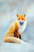 Blackbird ,Art, Artwork, Art Print