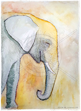 Elephant Watercolour Art Print