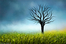  #Prints of Pencil Drawings #Prints of Acrylic Paintings #Prints of Oil Pastel Artworks #Wildlife Art #Animals Art #Floral Prints #Landscape Art #Lake District Artist #Lakeland Art Studio #Quality Art Prints #Acrylic Art Prints #Aluminium Art Prints #Canvas Art Prints #UK Art Prints #Giclee Art Prints #Birds Art Prints #Elephant Art Prints #Dog Art Prints #Professional Artwork Prints #Prints of Acrylic Paintings #Modern Wall Decor #Office Wall Decor #Living Room Wall Art #Colourful Wall Art #Black And White Prints #Landscape Wall Art #Inspirational Wall Art #Fine Quality Prints #Unique Art Prints #Handmade Art Prints #Classic Wall Art #Lakeland #Hotel Art Prints #Bed And Breakfast Art Prints #Lake District Business Art Prints #Hospitality Art Prints #British Artwork Prints