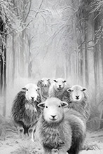 #Herdwick Sheep Art Prints #Herdy #Herdwick Tups #Herdwick Ewes #Lake District Artist #Lakeland Art Studio #Art Prints #Wall Art Prints #Canvas Art Prints #Artwork #Herdy Artwork Prints #Contemporary Prints #Office Art #Lakeland #Lake District #Lakeland Office Artwork #Matt Art Prints #UK Art Prints #Big Art Prints #Cumbria Art Prints #Art Prints #Prints of Pencil Drawings #Prints of Oil Paintings #Home Decor Artwork #Abstract Art Prints #Minimalist Wall Art #Gallery Wall Prints #Living Room Wall Art #Bedroom Wall Decor #Black And White Prints #Botanical Art Prints #Vintage Art Prints #Custom Art Prints #Unique Art Prints #B&B Art Prints #Lakeland Office Artwork #Hotel Art Prints #Large Wall Art Prints #Lake District Business Art Prints #Photopaper Art Prints #British Artwork Prints