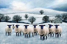  #Prints of Pencil Drawings #Prints of Acrylic Paintings #Wildlife Art #Flower Prints #Landscape Art #Lakeland Art Studio #Fine Art Prints #Acrylic Art Prints #Aluminium Art Prints #Photopaper Art Prints #UK Art Prints #Giclee Art Prints #Elephant Art Prints #Cat Art Prints #Dog Art Prints #Professional Artwork Prints #Art Prints #Prints of Oil Paintings #Prints of Acrylic Paintings #Prints of Oil Pastel Artworks #Fine Art Prints #Air B&B Art Prints #Framed Art Prints #Abstract Art Prints #Contemporary Art Prints #Landscape Wall Art #Vintage Art Prints #Handmade Art Prints #Nature Art Prints #Wall Art Decor #Office Art #Lakeland #Cumbrian Artist #Giclee Prints #Lake District Business Art Prints #British Artwork Prints