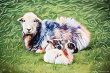 #Herdwick Sheep Art Prints #Herdy #Herdwick Sheep #Art #Lake District Artist #Art Prints #Wall Art Prints #Acrylic Art Prints #Aluminium Art Prints #Glossy Art Prints #Artwork #Herdy Artwork Prints #Herdwick Sheep Art #Lakeland #Lake District #Lakeland Office Artwork #Lake district Wall Art #Hotel Wall Art #Matt Art Prints #Big Art Prints #Cumbria Art Prints #Prints of Pencil Drawings #Prints of Acrylic Paintings #Fine Art Prints #Canvas Art Prints #Framed Art Prints #Contemporary Art Prints #Large Wall Art #Living Room Wall Art #Black And White Prints #Unique Art Prints #Floral Wall Art #Wall Art Decor #Statement Wall Art #High Resolution Prints #Artistic Prints #Office Art #Lakeland Office Artwork #Box Canvas Art Prints #Cumbria Art Prints #British Artwork Prints