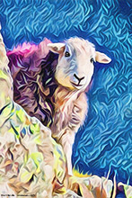 #Herdwick Sheep Art Prints #Herdy #Herdwick Sheep #Herdwick Ewes #Lake District Artist #Aluminium Art Prints #Glossy Art Prints #Artwork #Herdy Artwork Prints #Contemporary Prints #Office Art #Lakeland Office Artwork #Lake district Wall Art #Hotel Wall Art #Matt Art Prints #UK Art Prints #Big Art Prints #Canvas Art Prints #Cumbria Art Prints #Prints of Acrylic Paintings #Air B&B Art Prints #Minimalist Wall Art #Living Room Wall Art #Bedroom Wall Decor #Black And White Prints #Custom Art Prints #Fine Quality Prints #Floral Wall Art #Typography Art Prints #Artistic Prints #Artwork #Hotel Wall Art #Hotel Art Prints #Photopaper Art Prints #British Artwork Prints