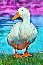  #Prints of Oil Paintings #Prints of Acrylic Paintings #Prints of Oil Pastel Artworks #Animals Art #Flower Prints #Floral Prints #Wildlife Prints #Lake District Artist #Fine Art Prints #Acrylic Art Prints #Canvas Art Prints #Photopaper Art Prints #UK Art Prints #Giclee Art Prints #Birds Art Prints #Dog Art Prints #Professional Artwork Prints #Wall Art #Fine Art Prints #Modern Wall Decor #Home Decor Artwork #Minimalist Wall Art #Artist Cumbria #Botanical Art Prints #Vintage Art Prints #Custom Art Prints #Handmade Art Prints #Premium Art Prints #Lakeland Office Artwork #Hotel Wall Art #Lake District Wildlife #Large Wall Art Prints #Giclee Prints #Box Canvas Art Prints #Hospitality Art Prints #Photopaper Art Prints #British Artwork Prints