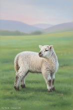 #Herdwick Sheep Art Prints #Herdy #Art #Lake District Artist #Art Prints #Wall Art Prints #Acrylic Art Prints #Canvas Art Prints #Glossy Art Prints #Artwork #Herdy Artwork Prints #Lakeland #Lake District #Lakeland Office Artwork #Hotel Wall Art #Big Art Prints #Canvas Art Prints #Art Prints #Prints of Oil Paintings #Prints of Acrylic Paintings #Air B&B Art Prints #Framed Art Prints #Minimalist Wall Art #Contemporary Art Prints #Gallery Wall Prints #Office Wall Decor #Bedroom Wall Decor #Colourful Wall Art #Vintage Art Prints #Large Wall Art Prints #Decorative Wall Art #Unique Art Prints #Hotel Wall Art #Large Wall Art Prints #Box Canvas Art Prints #Cumbria Art Prints #British Artwork Prints
