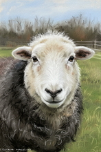 #Herdwick Sheep Art Prints #Herdwick Sheep #Herdwick Tups #Lake District Artist #Lakeland Art Studio #Aluminium Art Prints #Canvas Art Prints #Glossy Art Prints #Artwork #Herdy Artwork Prints #Herdwick Sheep Art #Office Art #Lakeland #Lakeland Office Artwork #Lake district Wall Art #Hotel Wall Art #Matt Art Prints #UK Art Prints #Big Art Prints #Cumbria Art Prints #Art Prints #Wall Art #Fine Art Prints #Large Wall Art #Gallery Wall Prints #Office Wall Decor #Living Room Wall Art #Colourful Wall Art #Black And White Prints #Large Wall Art Prints #Office Art #Lakeland #Lake District Wildlife #Large Wall Art Prints #Hospitality Art Prints #British Artwork Prints