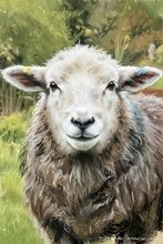 #Herdwick Sheep Art Prints #Herdy #Art #Lakeland Art Studio #Art Prints #Wall Art Prints #Acrylic Art Prints #Glossy Art Prints #Artwork #Herdy Artwork Prints #Contemporary Prints #Office Art #Lakeland #Lake District #Hotel Wall Art #Matt Art Prints #Big Art Prints #Lake District Art Prints #Canvas Art Prints #Cumbria Art Prints #Prints of Oil Paintings #Prints of Oil Pastel Artworks #Modern Wall Decor #Large Wall Art #Vintage Art Prints #Large Wall Art Prints #Luxury Art Prints #Unique Art Prints #Floral Wall Art #Typography Art Prints #Lake District #Lakeland Office Artwork #Lake District Wildlife #Giclee Prints #Box Canvas Art Prints #Hospitality Art Prints #Photopaper Art Prints #British Artwork Prints