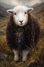 #Herdwick Sheep Art Prints #Herdy #Herdwick Ewes #Lake District Artist #Art Prints #Wall Art Prints #Acrylic Art Prints #Canvas Art Prints #Glossy Art Prints #Artwork #Herdy Artwork Prints #Contemporary Prints #Herdwick Sheep Art #Office Art #Lake District #Lakeland Office Artwork #Lake district Wall Art #Big Art Prints #Canvas Art Prints #Cumbria Art Prints #Art Prints #Prints of Pencil Drawings #Prints of Acrylic Paintings #Prints of Oil Pastel Artworks #Wall Art #Fine Art Prints #Modern Wall Decor #Digital Art #Gallery Wall Prints #Colourful Wall Art #Black And White Prints #Botanical Art Prints #Unique Art Prints #Typography Art Prints #B&B Art Prints #Premium Art Prints #Lakeland #Giclee Prints #Photopaper Art Prints #British Artwork Prints