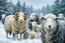 #Herdwick Sheep Art Prints #Herdy #Art #Lake District Artist #Lakeland Art Studio #Art Prints #Acrylic Art Prints #Canvas Art Prints #Herdy Artwork Prints #Contemporary Prints #Herdwick Sheep Art #Office Art #Lakeland #Lake District #Lake district Wall Art #Hotel Wall Art #Matt Art Prints #Big Art Prints #Art Prints #Prints of Pencil Drawings #Prints of Oil Paintings #Air B&B Art Prints #Canvas Art Prints #Aesthetic Art Prints #Botanical Art Prints #Large Wall Art Prints #Unique Art Prints #Typography Art Prints #High Resolution Prints #Office Art #Lakeland Office Artwork #Hotel Wall Art #Cumbrian Artist #Photopaper Art Prints #British Artwork Prints