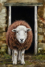 #Herdwick Sheep Art Prints #Herdy #Herdwick Sheep #Herdwick Tups #Herdwick Ewes #Lake District Artist #Lakeland Art Studio #Art Prints #Wall Art Prints #Canvas Art Prints #Glossy Art Prints #Artwork #Herdy Artwork Prints #Contemporary Prints #Herdwick Sheep Art #Office Art #Lake district Wall Art #UK Art Prints #Lake District Art Prints #Prints of Oil Paintings #Air B&B Art Prints #Framed Art Prints #Artist Cumbria #Office Wall Decor #Living Room Wall Art #Bedroom Wall Decor #Colourful Wall Art #Botanical Art Prints #Cool Wall Art #Custom Art Prints #Unique Art Prints #Floral Wall Art #B&B Art Prints #Artistic Prints #Lake District Art Pictures #Bed And Breakfast Art Prints #Photopaper Art Prints #British Artwork Prints