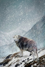 #Herdwick Sheep Art Prints #Herdy #Herdwick Sheep #Herdwick Ewes #Art #Lakeland Art Studio #Art Prints #Wall Art Prints #Acrylic Art Prints #Aluminium Art Prints #Contemporary Prints #Herdwick Sheep Art #Lakeland #Lake District #Lakeland Office Artwork #Lake district Wall Art #Hotel Wall Art #Matt Art Prints #Big Art Prints #Lake District Art Prints #Canvas Art Prints #Prints of Acrylic Paintings #Wall Art #Abstract Art Prints #Gallery Wall Prints #Office Wall Decor #Cool Wall Art #Custom Art Prints #Large Wall Art Prints #Luxury Art Prints #Floral Wall Art #Typography Art Prints #Wildlife Art #Office Art #Hotel Wall Art #Large Wall Art Prints #British Artwork Prints