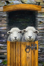 #Herdwick Sheep Art Prints #Herdy #Herdwick Sheep #Herdwick Ewes #Lake District Artist #Lakeland Art Studio #Wall Art Prints #Acrylic Art Prints #Aluminium Art Prints #Glossy Art Prints #Herdy Artwork Prints #Office Art #Lakeland #Lake District #Lakeland Office Artwork #Matt Art Prints #Big Art Prints #Lake District Art Prints #Canvas Art Prints #Cumbria Art Prints #Art Prints #Prints of Acrylic Paintings #Wall Art #Modern Wall Decor #Home Decor Artwork #Framed Art Prints #Abstract Art Prints #Digital Art #Bedroom Wall Decor #Botanical Art Prints #Custom Art Prints #Wall Art Decor #Premium Art Prints #Hotel Art Prints #Giclee Prints #British Artwork Prints