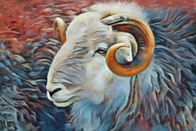 #Herdwick Sheep Art Prints #Herdwick Tups #Herdwick Ewes #Lake District Artist #Lakeland Art Studio #Wall Art Prints #Acrylic Art Prints #Aluminium Art Prints #Canvas Art Prints #Glossy Art Prints #Artwork #Herdy Artwork Prints #Contemporary Prints #Herdwick Sheep Art #Lakeland #Lake District #Lakeland Office Artwork #Lake district Wall Art #Hotel Wall Art #UK Art Prints #Canvas Art Prints #Prints of Pencil Drawings #Prints of Acrylic Paintings #Wall Art #Modern Wall Decor #Home Decor Artwork #Abstract Art Prints #Office Wall Decor #Living Room Wall Art #Black And White Prints #Botanical Art Prints #Luxury Art Prints #Unique Art Prints #Unique Art Prints #Lakeland Office Artwork #Lake District Art Pictures #Hotel Art Prints #Giclee Prints #Hospitality Art Prints #British Artwork Prints