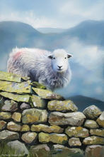 #Herdwick Sheep Art Prints #Herdy #Herdwick Sheep #Herdwick Tups #Art #Lake District Artist #Art Prints #Aluminium Art Prints #Canvas Art Prints #Glossy Art Prints #Herdy Artwork Prints #Contemporary Prints #Herdwick Sheep Art #Office Art #Lakeland #Lake District #Lakeland Office Artwork #Lake district Wall Art #Lake District Art Prints #Home Decor Artwork #Large Wall Art #Office Wall Decor #Bedroom Wall Decor #Botanical Art Prints #Landscape Wall Art #Vintage Art Prints #Luxury Art Prints #Unique Art Prints #B&B Art Prints #High Resolution Prints #Premium Art Prints #Office Art #Lake District #Lakeland Office Artwork #Bed And Breakfast Art Prints #Cumbrian Artist #Photopaper Art Prints #British Artwork Prints