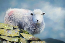 #Herdwick Sheep Art Prints #Herdy #Herdwick Sheep #Herdwick Tups #Herdwick Ewes #Art #Art Prints #Wall Art Prints #Acrylic Art Prints #Aluminium Art Prints #Glossy Art Prints #Herdy Artwork Prints #Contemporary Prints #Herdwick Sheep Art #Office Art #Lakeland Office Artwork #Lake district Wall Art #Matt Art Prints #UK Art Prints #Big Art Prints #Cumbria Art Prints #Fine Art Prints #Modern Wall Decor #Artist Cumbria #Gallery Wall Prints #Office Wall Decor #Landscape Wall Art #Unique Art Prints #Unique Art Prints #Nature Art Prints #Typography Art Prints #Wall Art Decor #Premium Art Prints #Artistic Prints #Artwork #Lakeland #Lake District Art Pictures #Bed And Breakfast Art Prints #Lake District Wildlife #Giclee Prints #British Artwork Prints