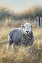 #Herdwick Sheep Art Prints #Herdy #Herdwick Tups #Herdwick Ewes #Lakeland Art Studio #Art Prints #Acrylic Art Prints #Artwork #Herdy Artwork Prints #Contemporary Prints #Herdwick Sheep Art #Office Art #Lake District #Lakeland Office Artwork #Lake district Wall Art #UK Art Prints #Big Art Prints #Cumbria Art Prints #Air B&B Art Prints #Modern Wall Decor #Home Decor Artwork #Minimalist Wall Art #Large Wall Art #Luxury Art Prints #Fine Quality Prints #Unique Art Prints #High Resolution Prints #Artistic Prints #Artwork #Lake District #Lakeland Office Artwork #Hotel Art Prints #Large Wall Art Prints #Lake District Business Art Prints #British Artwork Prints