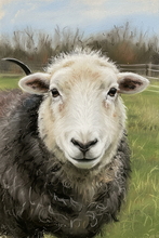 #Herdwick Sheep Art Prints #Herdy #Herdwick Sheep #Herdwick Tups #Herdwick Ewes #Lake District Artist #Art Prints #Wall Art Prints #Acrylic Art Prints #Aluminium Art Prints #Artwork #Contemporary Prints #Herdwick Sheep Art #Lakeland #Lake District #Lakeland Office Artwork #Hotel Wall Art #Matt Art Prints #Big Art Prints #Lake District Art Prints #Cumbria Art Prints #Prints of Oil Pastel Artworks #Wall Art #Air B&B Art Prints #Modern Wall Decor #Digital Art #Office Wall Decor #Landscape Wall Art #Custom Art Prints #Nature Art Prints #Floral Wall Art #Statement Wall Art #Lakeland #Lake District #Hotel Wall Art #Hotel Art Prints #Bed And Breakfast Art Prints #Box Canvas Art Prints #British Artwork Prints
