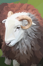 #Herdwick Sheep Art Prints #Herdy #Herdwick Sheep #Herdwick Ewes #Lake District Artist #Art Prints #Wall Art Prints #Aluminium Art Prints #Canvas Art Prints #Glossy Art Prints #Artwork #Herdy Artwork Prints #Contemporary Prints #Herdwick Sheep Art #Lakeland #Lake district Wall Art #Hotel Wall Art #Matt Art Prints #UK Art Prints #Lake District Art Prints #Canvas Art Prints #Art Prints #Prints of Oil Paintings #Prints of Acrylic Paintings #Modern Wall Decor #Minimalist Wall Art #Digital Art #Colourful Wall Art #Nature Art Prints #Floral Wall Art #Wall Art Decor #Lakeland #Lake District #Lake District Art Pictures #Bed And Breakfast Art Prints #Large Wall Art Prints #Giclee Prints #British Artwork Prints