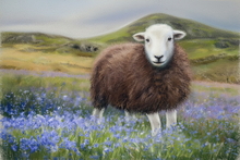 #Herdwick Sheep Art Prints #Herdwick Sheep #Herdwick Ewes #Art #Lakeland Art Studio #Art Prints #Wall Art Prints #Acrylic Art Prints #Aluminium Art Prints #Canvas Art Prints #Contemporary Prints #Herdwick Sheep Art #Office Art #Lake District #Lake district Wall Art #Hotel Wall Art #Matt Art Prints #UK Art Prints #Big Art Prints #Lake District Art Prints #Canvas Art Prints #Wall Art #Framed Art Prints #Minimalist Wall Art #Gallery Wall Prints #Office Wall Decor #Bedroom Wall Decor #Landscape Wall Art #Cool Wall Art #Custom Art Prints #Wall Art Decor #Artistic Prints #Artwork #Office Art #Hotel Wall Art #Lake District Business Art Prints #Hospitality Art Prints #Cumbria Art Prints #Photopaper Art Prints #British Artwork Prints