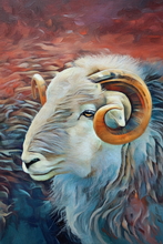 #Herdwick Sheep Art Prints #Herdy #Herdwick Sheep #Herdwick Tups #Art #Lake District Artist #Lakeland Art Studio #Art Prints #Wall Art Prints #Canvas Art Prints #Artwork #Contemporary Prints #Lakeland #Matt Art Prints #UK Art Prints #Big Art Prints #Lake District Art Prints #Canvas Art Prints #Prints of Oil Paintings #Fine Art Prints #Canvas Art Prints #Framed Art Prints #Abstract Art Prints #Gallery Wall Prints #Office Wall Decor #Colourful Wall Art #Landscape Wall Art #Cool Wall Art #Large Wall Art Prints #Decorative Wall Art #Unique Art Prints #Nature Art Prints #High Resolution Prints #Premium Art Prints #Wildlife Art #Office Art #Lakeland Office Artwork #Lake District Business Art Prints #British Artwork Prints