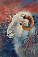 #Herdwick Sheep Art Prints #Herdwick Tups #Art #Lakeland Art Studio #Art Prints #Canvas Art Prints #Artwork #Herdwick Sheep Art #Office Art #Lakeland #Lake district Wall Art #Hotel Wall Art #Matt Art Prints #UK Art Prints #Big Art Prints #Lake District Art Prints #Canvas Art Prints #Prints of Oil Paintings #Prints of Oil Pastel Artworks #Wall Art #Canvas Art Prints #Gallery Wall Prints #Living Room Wall Art #Aesthetic Art Prints #Black And White Prints #Botanical Art Prints #Vintage Art Prints #Custom Art Prints #Large Wall Art Prints #Unique Art Prints #Typography Art Prints #High Resolution Prints #Lakeland #Lake District #Lakeland Office Artwork #Hotel Art Prints #Lake District Wildlife #British Artwork Prints