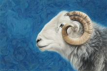 #Herdwick Sheep Art Prints #Herdy #Herdwick Sheep #Herdwick Tups #Herdwick Ewes #Art #Glossy Art Prints #Artwork #Herdy Artwork Prints #Herdwick Sheep Art #Lakeland Office Artwork #Hotel Wall Art #Matt Art Prints #UK Art Prints #Big Art Prints #Lake District Art Prints #Cumbria Art Prints #Prints of Oil Pastel Artworks #Modern Wall Decor #Aesthetic Art Prints #Colourful Wall Art #Botanical Art Prints #Cool Wall Art #Large Wall Art Prints #Fine Quality Prints #Floral Wall Art #Typography Art Prints #Premium Art Prints #Artistic Prints #Wildlife Art #Lakeland Office Artwork #Lake District Wildlife #British Artwork Prints