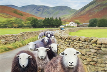 #Herdwick Sheep Art Prints #Herdy #Herdwick Sheep #Herdwick Ewes #Art #Wall Art Prints #Acrylic Art Prints #Aluminium Art Prints #Glossy Art Prints #Contemporary Prints #Herdwick Sheep Art #Lake District #Lakeland Office Artwork #Matt Art Prints #UK Art Prints #Big Art Prints #Prints of Oil Paintings #Wall Art #Abstract Art Prints #Minimalist Wall Art #Living Room Wall Art #Bedroom Wall Decor #Landscape Wall Art #Custom Art Prints #Large Wall Art Prints #Unique Art Prints #B&B Art Prints #Wall Art Decor #Wildlife Art #Artwork #Lakeland Office Artwork #Hotel Art Prints #Large Wall Art Prints #Hospitality Art Prints #Cumbria Art Prints #British Artwork Prints