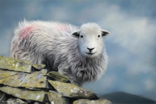 #Herdwick Sheep Art Prints #Herdy #Herdwick Sheep #Herdwick Tups #Art #Lake District Artist #Wall Art Prints #Glossy Art Prints #Herdy Artwork Prints #Contemporary Prints #Herdwick Sheep Art #Lake District #Lakeland Office Artwork #Lake district Wall Art #Matt Art Prints #UK Art Prints #Canvas Art Prints #Art Prints #Prints of Oil Paintings #Prints of Oil Pastel Artworks #Wall Art #Home Decor Artwork #Abstract Art Prints #Contemporary Art Prints #Artist Cumbria #Living Room Wall Art #Custom Art Prints #Nature Art Prints #B&B Art Prints #Wall Art Decor #High Resolution Prints #Large Wall Art Prints #Giclee Prints #Box Canvas Art Prints #British Artwork Prints