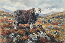 #Herdwick Sheep Art Prints #Herdwick Tups #Art #Lakeland Art Studio #Art Prints #Wall Art Prints #Aluminium Art Prints #Canvas Art Prints #Glossy Art Prints #Artwork #Herdy Artwork Prints #Herdwick Sheep Art #Office Art #Lakeland #Lake District #Lakeland Office Artwork #Matt Art Prints #UK Art Prints #Lake District Art Prints #Art Prints #Prints of Pencil Drawings #Prints of Oil Pastel Artworks #Modern Wall Decor #Large Wall Art #Gallery Wall Prints #Bedroom Wall Decor #Black And White Prints #Vintage Art Prints #Cool Wall Art #Custom Art Prints #Luxury Art Prints #High Resolution Prints #Premium Art Prints #Wildlife Art #Lakeland #Lake District Art Pictures #Hotel Art Prints #Box Canvas Art Prints #British Artwork Prints