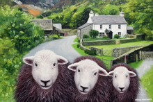 #Herdwick Sheep Art Prints #Herdy #Herdwick Sheep #Herdwick Ewes #Art #Lake District Artist #Art Prints #Aluminium Art Prints #Artwork #Herdy Artwork Prints #Contemporary Prints #Office Art #Lakeland Office Artwork #Hotel Wall Art #Matt Art Prints #UK Art Prints #Big Art Prints #Lake District Art Prints #Cumbria Art Prints #Prints of Pencil Drawings #Home Decor Artwork #Artist Cumbria #Large Wall Art #Living Room Wall Art #Bedroom Wall Decor #Landscape Wall Art #Large Wall Art Prints #Luxury Art Prints #Fine Quality Prints #Floral Wall Art #Wall Art Decor #Office Art #Lakeland #Lake District Art Pictures #Lake District Wildlife #Large Wall Art Prints #Cumbrian Artist #Box Canvas Art Prints #British Artwork Prints