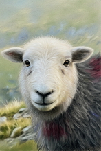 #Herdwick Sheep Art Prints #Herdy #Herdwick Tups #Herdwick Ewes #Art #Lake District Artist #Lakeland Art Studio #Wall Art Prints #Acrylic Art Prints #Aluminium Art Prints #Canvas Art Prints #Artwork #Contemporary Prints #Lakeland #Lake district Wall Art #Hotel Wall Art #Matt Art Prints #UK Art Prints #Lake District Art Prints #Canvas Art Prints #Prints of Pencil Drawings #Prints of Oil Paintings #Prints of Acrylic Paintings #Modern Wall Decor #Home Decor Artwork #Framed Art Prints #Landscape Wall Art #Vintage Art Prints #Fine Quality Prints #Nature Art Prints #Wall Art Decor #High Resolution Prints #Cumbrian Artist #Lake District Business Art Prints #Cumbria Art Prints #British Artwork Prints