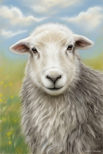 #Herdwick Sheep Art Prints #Herdy #Herdwick Tups #Art #Lake District Artist #Lakeland Art Studio #Art Prints #Wall Art Prints #Acrylic Art Prints #Glossy Art Prints #Herdy Artwork Prints #Contemporary Prints #Herdwick Sheep Art #Office Art #Lakeland #Lakeland Office Artwork #Lake district Wall Art #Hotel Wall Art #Lake District Art Prints #Canvas Art Prints #Cumbria Art Prints #Prints of Oil Pastel Artworks #Canvas Art Prints #Modern Wall Decor #Home Decor Artwork #Gallery Wall Prints #Bedroom Wall Decor #Aesthetic Art Prints #Colourful Wall Art #Black And White Prints #Luxury Art Prints #Floral Wall Art #B&B Art Prints #Premium Art Prints #Lake District #Cumbrian Artist #Box Canvas Art Prints #Hospitality Art Prints #British Artwork Prints