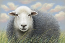 #Herdwick Sheep Art Prints #Herdy #Herdwick Sheep #Herdwick Tups #Art #Lakeland Art Studio #Art Prints #Aluminium Art Prints #Canvas Art Prints #Herdy Artwork Prints #Contemporary Prints #Herdwick Sheep Art #Office Art #Lakeland #Lake District #Matt Art Prints #Cumbria Art Prints #Prints of Oil Paintings #Prints of Oil Pastel Artworks #Wall Art #Air B&B Art Prints #Abstract Art Prints #Colourful Wall Art #Botanical Art Prints #Custom Art Prints #Typography Art Prints #B&B Art Prints #Wall Art Decor #High Resolution Prints #Wildlife Art #Lakeland Office Artwork #Lake District Art Pictures #Cumbrian Artist #Lake District Business Art Prints #British Artwork Prints