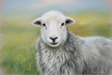 #Herdwick Sheep Art Prints #Herdwick Sheep #Art #Lake District Artist #Lakeland Art Studio #Art Prints #Wall Art Prints #Acrylic Art Prints #Aluminium Art Prints #Canvas Art Prints #Herdy Artwork Prints #Contemporary Prints #Herdwick Sheep Art #Lake District #Lakeland Office Artwork #Lake district Wall Art #Matt Art Prints #UK Art Prints #Big Art Prints #Lake District Art Prints #Cumbria Art Prints #Wall Art #Fine Art Prints #Home Decor Artwork #Framed Art Prints #Abstract Art Prints #Digital Art #Gallery Wall Prints #Black And White Prints #Landscape Wall Art #Unique Art Prints #High Resolution Prints #Artwork #Lakeland #Bed And Breakfast Art Prints #Large Wall Art Prints #Lake District Business Art Prints #Box Canvas Art Prints #British Artwork Prints