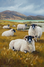  #Prints of Oil Paintings #Prints of Acrylic Paintings #Prints of Oil Pastel Artworks #Wildlife Art #Animals Art #Floral Prints #Wildlife Prints #Lake District Artist #Lakeland Art Studio #Fine Art Prints #Quality Art Prints #Aluminium Art Prints #Canvas Art Prints #Photopaper Art Prints #UK Art Prints #Giclee Art Prints #Birds Art Prints #Elephant Art Prints #Dog Art Prints #Professional Artwork Prints #Prints of Oil Pastel Artworks #Wall Art #Fine Art Prints #Air B&B Art Prints #Canvas Art Prints #Contemporary Art Prints #Large Wall Art #Landscape Wall Art #Custom Art Prints #Decorative Wall Art #Handmade Art Prints #Lakeland Office Artwork #Hotel Wall Art #Hotel Art Prints #Cumbrian Artist #Giclee Prints #British Artwork Prints