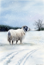  #Prints of Pencil Drawings #Prints of Oil Paintings #Prints of Acrylic Paintings #Prints of Oil Pastel Artworks #Animals Art #Wildlife Prints #Landscape Art #Lake District Artist #Lakeland Art Studio #Quality Art Prints #Acrylic Art Prints #Aluminium Art Prints #Canvas Art Prints #UK Art Prints #Giclee Art Prints #Birds Art Prints #Elephant Art Prints #Cat Art Prints #Dog Art Prints #Prints of Pencil Drawings #Prints of Oil Paintings #Prints of Acrylic Paintings #Fine Art Prints #Canvas Art Prints #Modern Wall Decor #Office Wall Decor #Colourful Wall Art #Botanical Art Prints #Unique Art Prints #Statement Wall Art #High Resolution Prints #Artwork #Lake District #Lake District Art Pictures #Hotel Wall Art #Large Wall Art Prints #Cumbrian Artist #British Artwork Prints