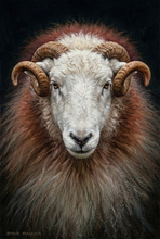  #Prints of Pencil Drawings #Prints of Acrylic Paintings #Prints of Oil Pastel Artworks #Wildlife Art #Animals Art #Wildlife Prints #Landscape Art #Lake District Artist #Lakeland Art Studio #Fine Art Prints #Quality Art Prints #Aluminium Art Prints #Photopaper Art Prints #UK Art Prints #Giclee Art Prints #Birds Art Prints #Elephant Art Prints #Professional Artwork Prints #Prints of Oil Paintings #Canvas Art Prints #Minimalist Wall Art #Digital Art #Living Room Wall Art #Aesthetic Art Prints #Nature Art Prints #Classic Wall Art #Statement Wall Art #Premium Art Prints #Artistic Prints #Wildlife Art #Artwork #Lake District Wildlife #Box Canvas Art Prints #British Artwork Prints