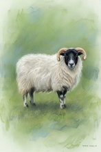  #Prints of Pencil Drawings #Prints of Oil Paintings #Prints of Acrylic Paintings #Prints of Oil Pastel Artworks #Wildlife Art #Flower Prints #Wildlife Prints #Lake District Artist #Lakeland Art Studio #Fine Art Prints #Quality Art Prints #Acrylic Art Prints #UK Art Prints #Giclee Art Prints #Birds Art Prints #Cat Art Prints #Professional Artwork Prints #Wall Art #Home Decor Artwork #Gallery Wall Prints #Bedroom Wall Decor #Aesthetic Art Prints #Botanical Art Prints #Vintage Art Prints #Inspirational Wall Art #Fine Quality Prints #Typography Art Prints #Classic Wall Art #High Resolution Prints #Office Art #Lakeland #Bed And Breakfast Art Prints #Lake District Wildlife #Lake District Business Art Prints #Cumbria Art Prints #Photopaper Art Prints #British Artwork Prints