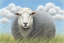  #Prints of Oil Pastel Artworks #Animals Art #Floral Prints #Wildlife Prints #Landscape Art #Lake District Artist #Lakeland Art Studio #Fine Art Prints #Quality Art Prints #Acrylic Art Prints #Aluminium Art Prints #Canvas Art Prints #Photopaper Art Prints #UK Art Prints #Giclee Art Prints #Elephant Art Prints #Cat Art Prints #Dog Art Prints #Professional Artwork Prints #Art Prints #Prints of Acrylic Paintings #Wall Art #Fine Art Prints #Minimalist Wall Art #Digital Art #Custom Art Prints #Luxury Art Prints #Floral Wall Art #Typography Art Prints #High Resolution Prints #Premium Art Prints #Artwork #Lakeland Office Artwork #Lake District Art Pictures #Lake District Wildlife #Large Wall Art Prints #Giclee Prints #British Artwork Prints