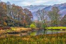 #Lake District Art Prints #Herdwick Rams #Cumbria #Lake District Holiday Accommodation Art Prints #Lake District Ram Art Prints #Borrowdale Herdwicks #Wildlife #Lake District Otters #Langdale #Herdy Lambs #Herdy Tups #Holiday Cottage Paintings #Art Prints for Hotels #Lakeland Cottage Canvas Artworks #Lakeland Sheep Art Prints #Sheep Artwork #Keswick #Wasdale #Prints of Oil Pastel Artworks #Minimalist Wall Art #Living Room Wall Art #Bedroom Wall Decor #Colourful Wall Art #Affordable Art Prints #Luxury Art Prints #Handmade Art Prints #Floral Wall Art #Typography Art Prints #Artwork #Lakeland #Lake District Art Pictures #Lake District Wildlife #Photopaper Art Prints #Cumbria Artwork Prints