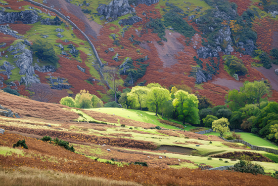 Rannerdale Lake District
