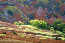 #Lake District Art Prints #Lake District Wildlife Art Prints #Herdwick Ewes #Herdwick Rams #Lake district sheep #Rams #Lake District #Lake District Holiday Accommodation Art Prints #Lake District Hares #Lake District Otters #Lake District Pheasants #Langdale #Herdy Lambs #Herdy Tups #Holiday Cottage Art Prints #Art Prints for Hotels #Herdy Ewes #Lakeland Sheep Art Prints #Home Decor Artwork #Framed Art Prints #Abstract Art Prints #Digital Art #Large Wall Art #Office Wall Decor #Colourful Wall Art #Black And White Prints #Landscape Wall Art #Vintage Art Prints #Inspirational Wall Art #Custom Art Prints #Handmade Art Prints #Floral Wall Art #Classic Wall Art #Hotel Wall Art #Giclee Prints #Cumbria Artwork Prints