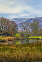 #Lake District Art Prints #Lake District Wildlife Art Prints #Herdwick Rams #Lake district sheep #Lake District #Lake District Holiday Accommodation Art Prints #Lake District Ewe Art Prints #Lake District Holiday Chalet Art Prints #Wasdale Herdwicks #Langdale Herdwicks #Lake District Otters #Borrowdale #Langdale #Holiday Cottage Art Prints #Holiday Cottage Paintings #Lake District Holiday Cottage Artworks #Art Prints for Hotels #Lakeland Cottage Canvas Artworks #Sheep Artwork #Wasdale #Art Prints #Fine Art Prints #Air B&B Art Prints #Canvas Art Prints #Modern Wall Decor #Framed Art Prints #Contemporary Art Prints #Gallery Wall Prints #Colourful Wall Art #Fine Quality Prints #Nature Art Prints #Floral Wall Art #Wall Art Decor #Hotel Art Prints #Lake District Wildlife #Large Wall Art Prints 