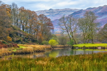 #Lake District Art Prints #Lake District Wildlife Art Prints #Herdwick #Herdies #Herdwick Ewes #Tups #Herdwick Tups #Lake District #Cumbria #Wasdale Herdwicks #Langdale Herdwicks #Lake District Otters #Lake District Art Posters #Cumbrian #Herdy Lambs #Holiday Cottage Artwork Prints #Herdy Ewes #Prints of Oil Pastel Artworks #Living Room Wall Art #Aesthetic Art Prints #Botanical Art Prints #Vintage Art Prints #Custom Art Prints #Affordable Art Prints #Decorative Wall Art #Handmade Art Prints #Floral Wall Art #Premium Art Prints #Lake District #Cumbrian Artist #Cumbria Art Prints #Photopaper Art Prints #Cumbria Artwork Prints