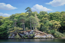 #Lake District Art Prints #Lake District Wildlife Art Prints #Herdwick Ewes #Herdwick Rams #Ewes #Herdwick Tups #Lake District Ewe Art Prints #Lake District Holiday Chalet Art Prints #Borrowdale Herdwicks #Animals #Borrowdale #Langdale #Holiday Cottage Artwork Prints #Lake District Holiday Cottage Artworks #Lakeland Cottage Canvas Artworks #Lakeland Sheep Art Prints #Art Prints #Abstract Art Prints #Contemporary Art Prints #Large Wall Art #Gallery Wall Prints #Landscape Wall Art #Unique Art Prints #Handmade Art Prints #Statement Wall Art #Wildlife Art #Office Art #Lakeland #Lake District #Lake District Wildlife #Large Wall Art Prints #Cumbria Art Prints #Cumbria Artwork Prints