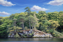 #Lake District Art Prints #Lake District Wildlife Art Prints #Tups #Lake District Ram Art Prints #Lake District Ewe Art Prints #Lake District Holiday Chalet Art Prints #Wasdale Herdwicks #Langdale Herdwicks #Animals #Wildlife #Lake District Otters #Lake District Art Posters #Herdy Lambs #Holiday Cottage Artwork Prints #Lake District Hotel Artworks #Art Prints for Hotels #Herdy Ewes #Herdies #Lakeland Sheep Art Prints #Keswick #Dogs #Art Prints #Fine Art Prints #Canvas Art Prints #Modern Wall Decor #Home Decor Artwork #Framed Art Prints #Minimalist Wall Art #Digital Art #Black And White Prints #Luxury Art Prints #Nature Art Prints #Classic Wall Art #Premium Art Prints #Artistic Prints #Hotel Art Prints #Bed And Breakfast Art Prints #Lake District Wildlife #Box Canvas Art Prints #Cumbria Art