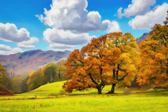 Elterwater Autumn Trees