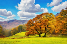 #Lake District Art Prints #Herdwick #Herdies #Herdwick Ewes #Rams #Ewes #Lake District #Lake District Ewe Art Prints #Langdale Herdwicks #Borrowdale Herdwicks #Lake District Pheasants #Lake District Cows #Langdale #Herdy Lambs #Holiday Cottage Artwork Prints #Herdy Ewes #Herdies #Lakeland Sheep Art Prints #Wasdale #Eskdale #Prints of Acrylic Paintings #Prints of Oil Pastel Artworks #Fine Art Prints #Artist Cumbria #Gallery Wall Prints #Living Room Wall Art #Black And White Prints #Vintage Art Prints #Inspirational Wall Art #Custom Art Prints #Wall Art Decor #Lakeland #Hotel Art Prints #Lake District Business Art Prints #Hospitality Art Prints #Photopaper Art Prints #Cumbria Artwork Prints